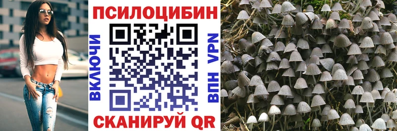 купить закладку  Новоульяновск  MEGA зеркало  Галлюциногенные грибы ЛСД 