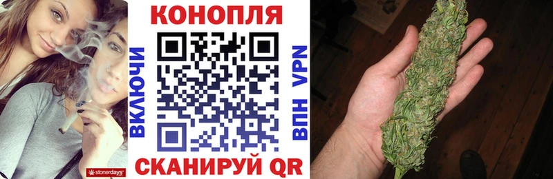 где купить наркотик  Новоульяновск  Бошки марихуана сатива 